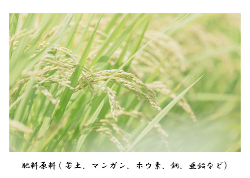 アメリカーノの商品画像